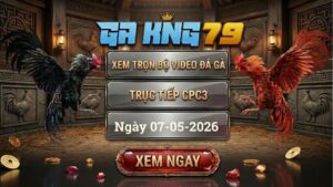 Xem Full Clip Đá Gà Bồ CPC3 Ngày 07/05/2026