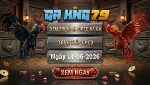 Xem Full Video Đá Gà CPC3 Ngày 14/06/2026 Tại GAKING79
