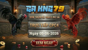 Xem Full Video Đá Gà CPC4 Ngày 5/6/2026 tại GAKING79